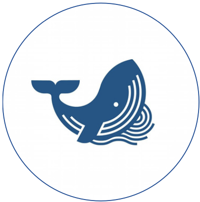 COQUETAYAUDAZ logo